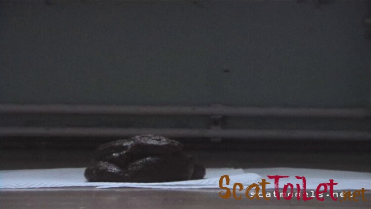 Poop on napkins. P1 [MPEG-4]