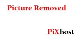 PLBZ – The ass of the human toilet must be punished in order to work properly [MPEG-4]