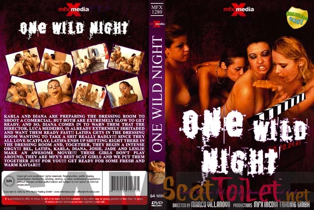 Latifa, Karla, Bel, Diana, Leslie, Josie, Jade - MFX-1280 One Wild Night [avi]