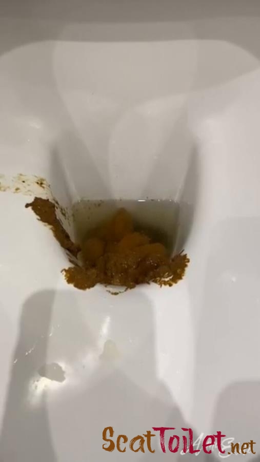 A big pile of shit in the toilet. P1 [MPEG-4]