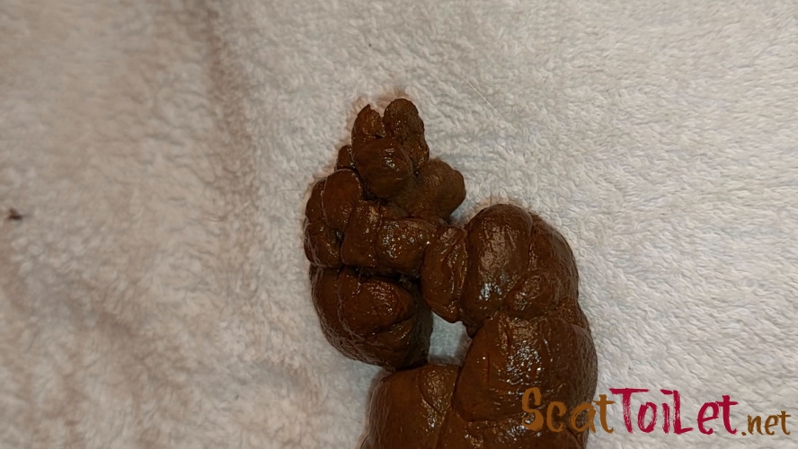 Moms Stinky Poo with PooGirlSofia [MPEG-4]