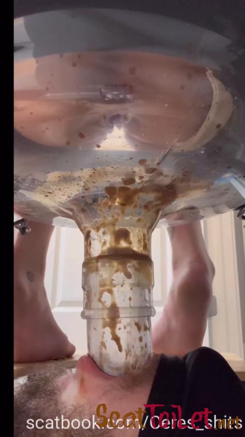 A Day of Shitting Down My Toilet's Throat P1 [MPEG-4]