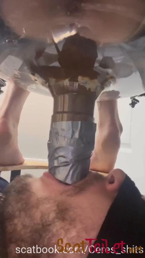 Toilet Annihilation with Goddess Ceres P1 [MPEG-4]