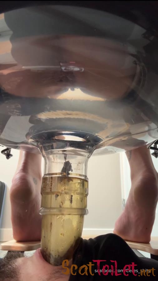 Five Levels of Shit » Mixfemdomcc - Latest Femdom Porn for Online Streaming with Goddess Ceres [MPEG-4]