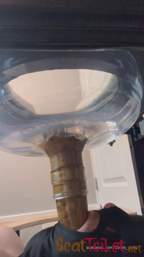 Toilet Slave Orgasm Control Single Angle » Mixfemdomcc - Latest Femdom Porn for Online Streaming with Goddess Ceres [MPEG-4]