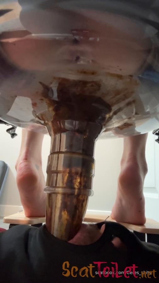 Daily Toilet Torture » Mixfemdomcc - Latest Femdom Porn for Online Streaming with Goddess Ceres [MPEG-4]