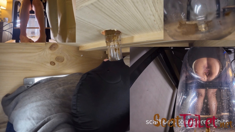 The Ultimate Human Toilet Setup Configuration » Mixfemdomcc - Latest Femdom Porn for Online Streaming with Goddess Ceres [MPEG-4]