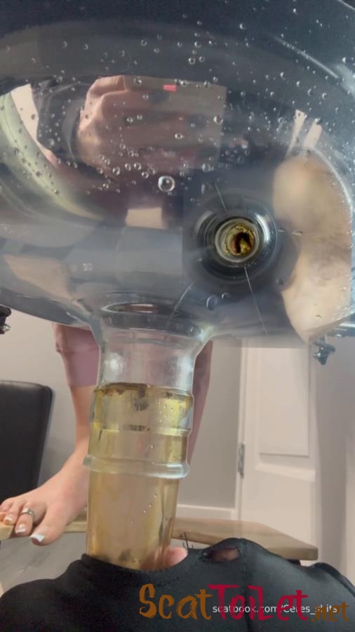 Septic Tank Almost Fails » Mixfemdomcc - Latest Femdom Porn for Online Streaming with Goddess Ceres [MPEG-4]