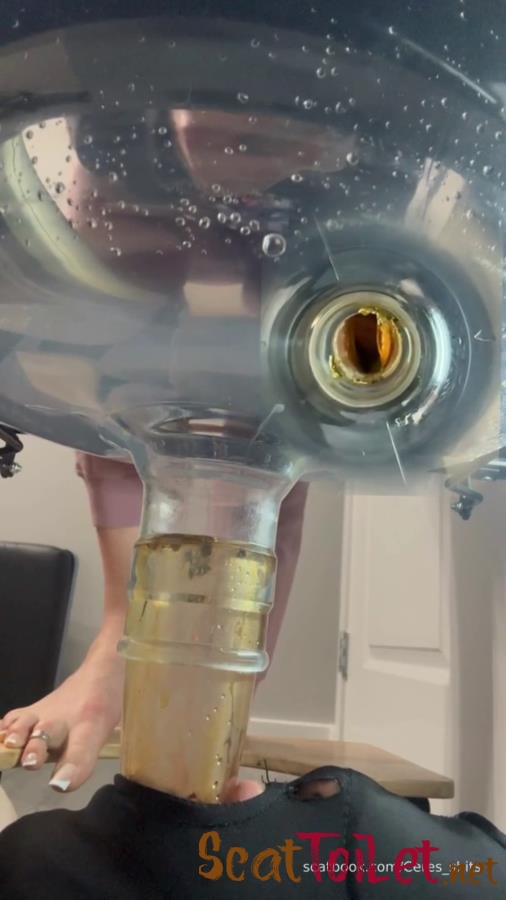 Septic Tank Almost Fails P1 [MPEG-4]