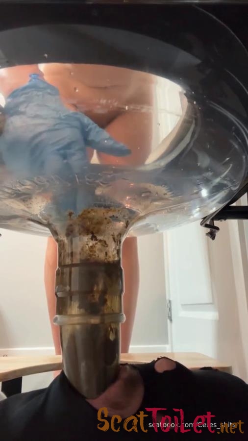 24 Minutes of Daily Toilet Slave Destruction P1 [MPEG-4]