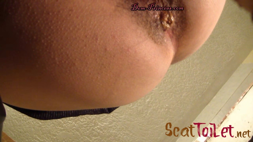 Scatmania Princesses Household Toilet Slave Part 5 Diana Hd [MPEG-4]