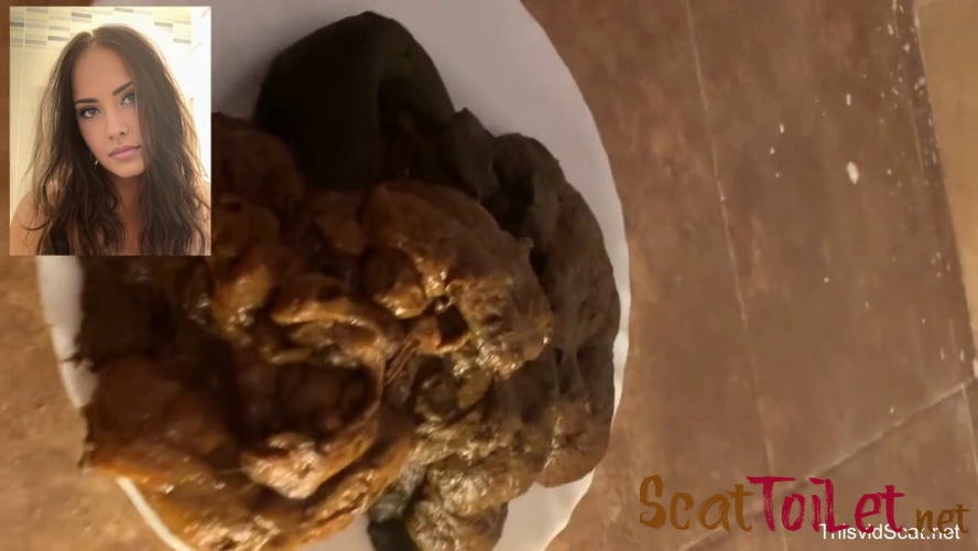 A huge pile of shit goes into the toilet. P1 [MPEG-4]