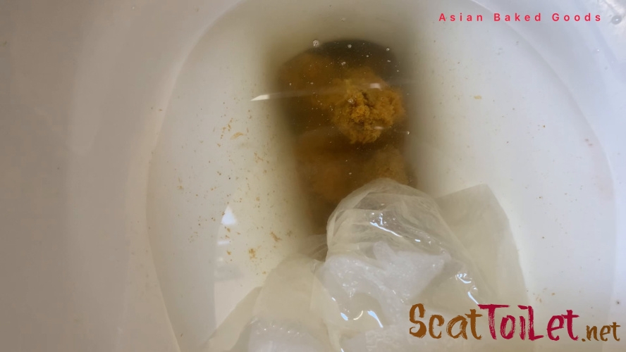 Shit pee moan on the toilet [MPEG-4]