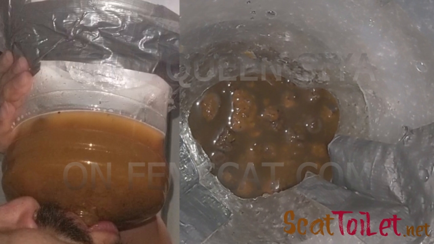 2 Scenes - On all Fours, Vile Diarrhea [MPEG-4]