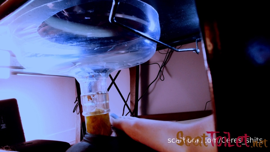 A Private Session with My Toilet [MPEG-4]