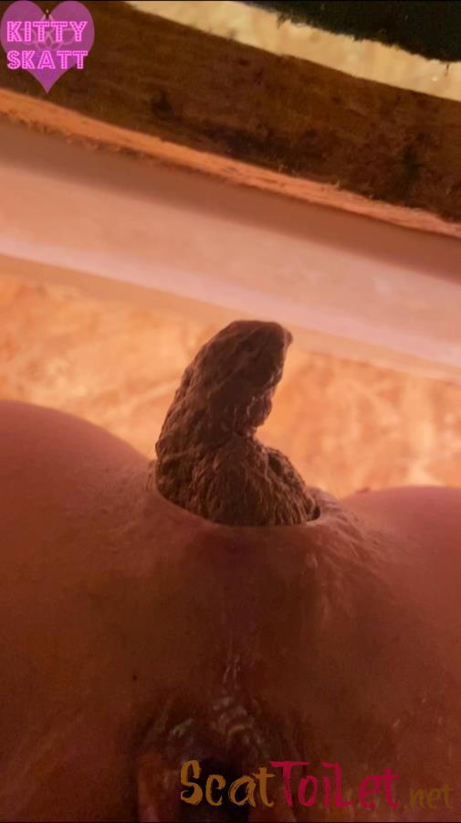 POV hookup in festival toilet with Kitty Skatt [MPEG-4]