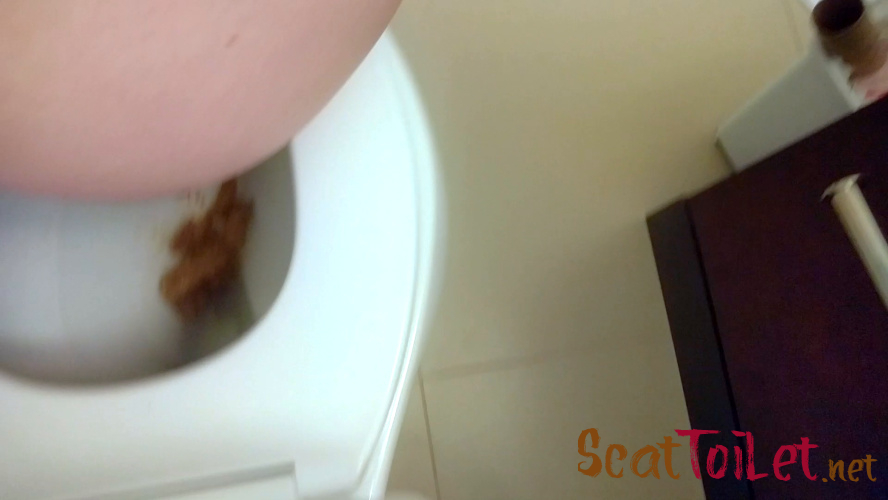 Cute, Casual Toilet Poo (+ wiping and flushing!) with CassieScat [MPEG-4]